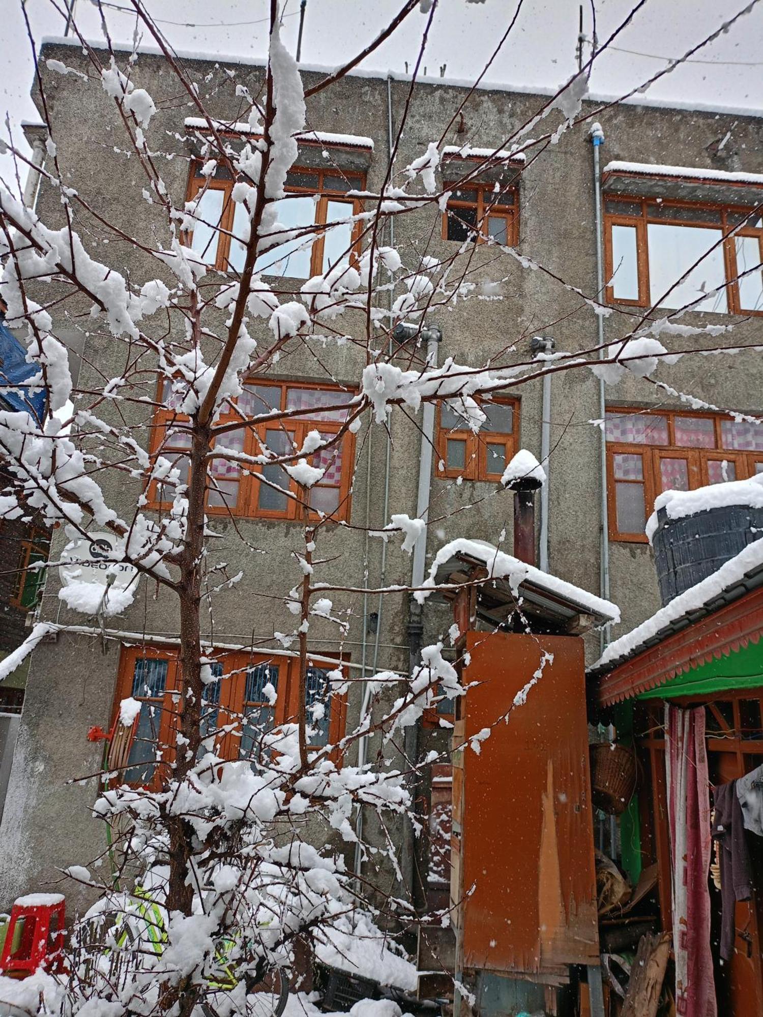 Queen Palace Guest House Srinagar  Exterior photo